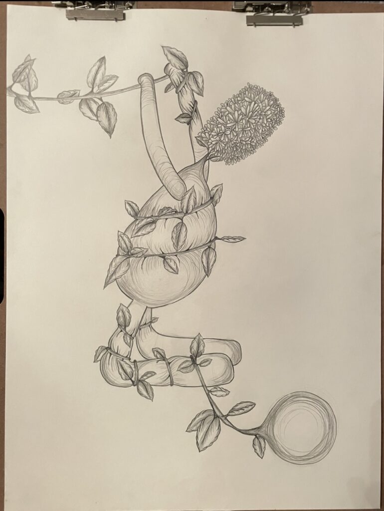 Kali Perkins Graphite Drawing