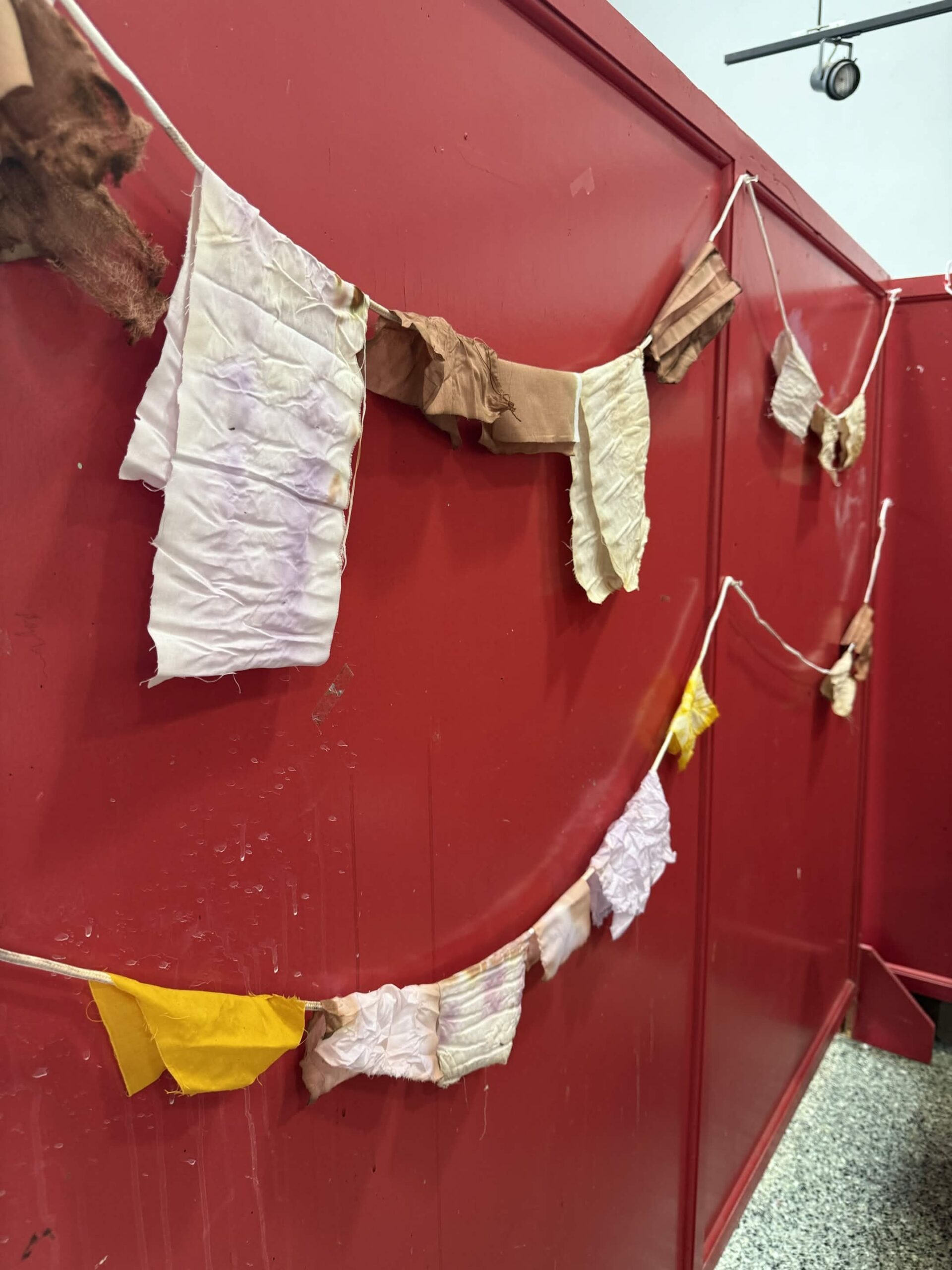 Hand dyed fabric swatches in cream, tan, yellow, and white hang from a string against a red wall, part of a material studies project.