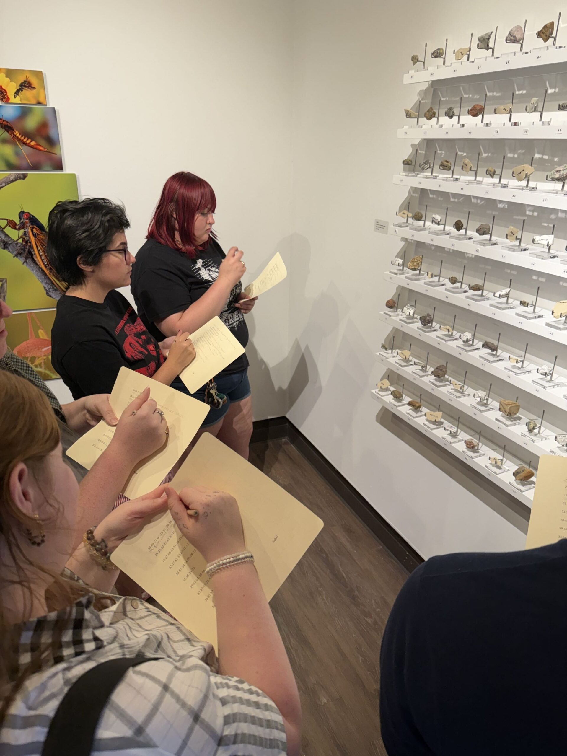 Gallery visitors look at wall mounted display cases of rocks, minerals, and fossils while holding printed guide sheets, with framed insect photographs nearby.